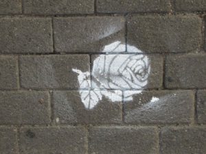 Demmin 2021: Eine Weiße Rose für Sophie Scholl