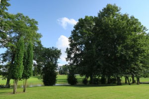 Park in Dzerbene